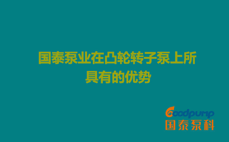 國泰泵業(yè)在凸輪轉(zhuǎn)子泵上所具有的優(yōu)勢