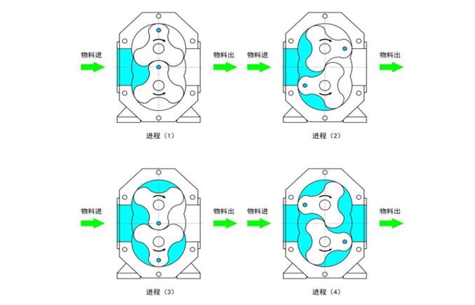 凸輪轉(zhuǎn)子泵工作原理